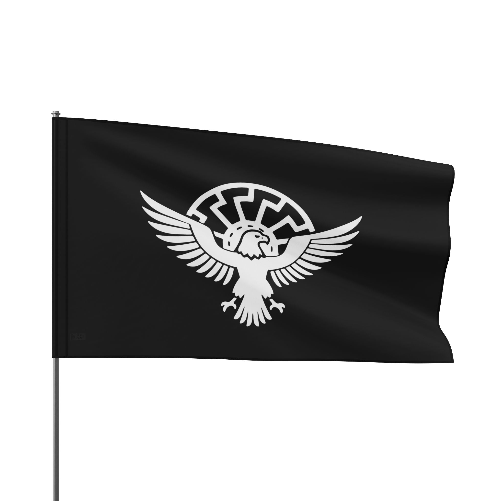 ANS Flag