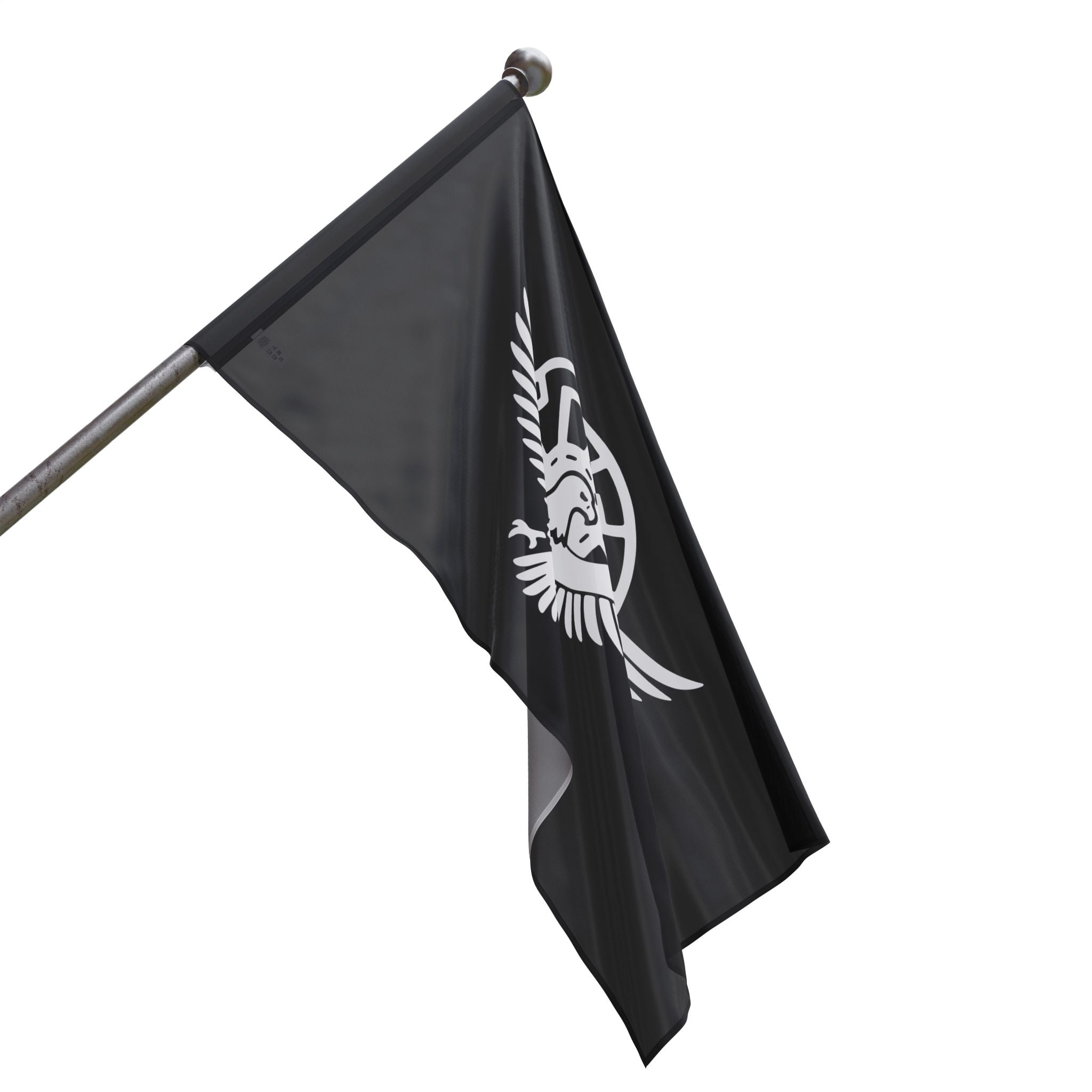 ANS Flag