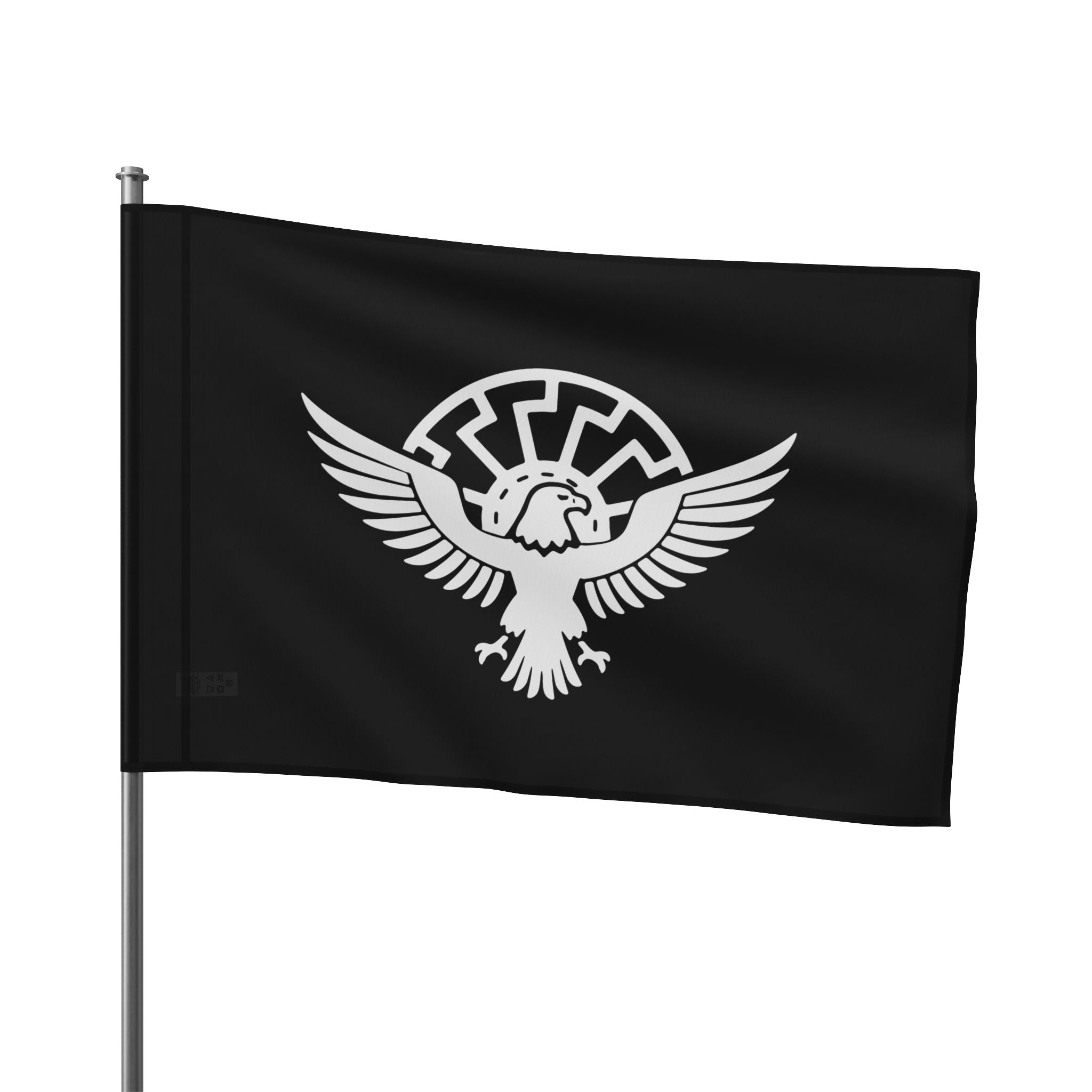 ANS Flag